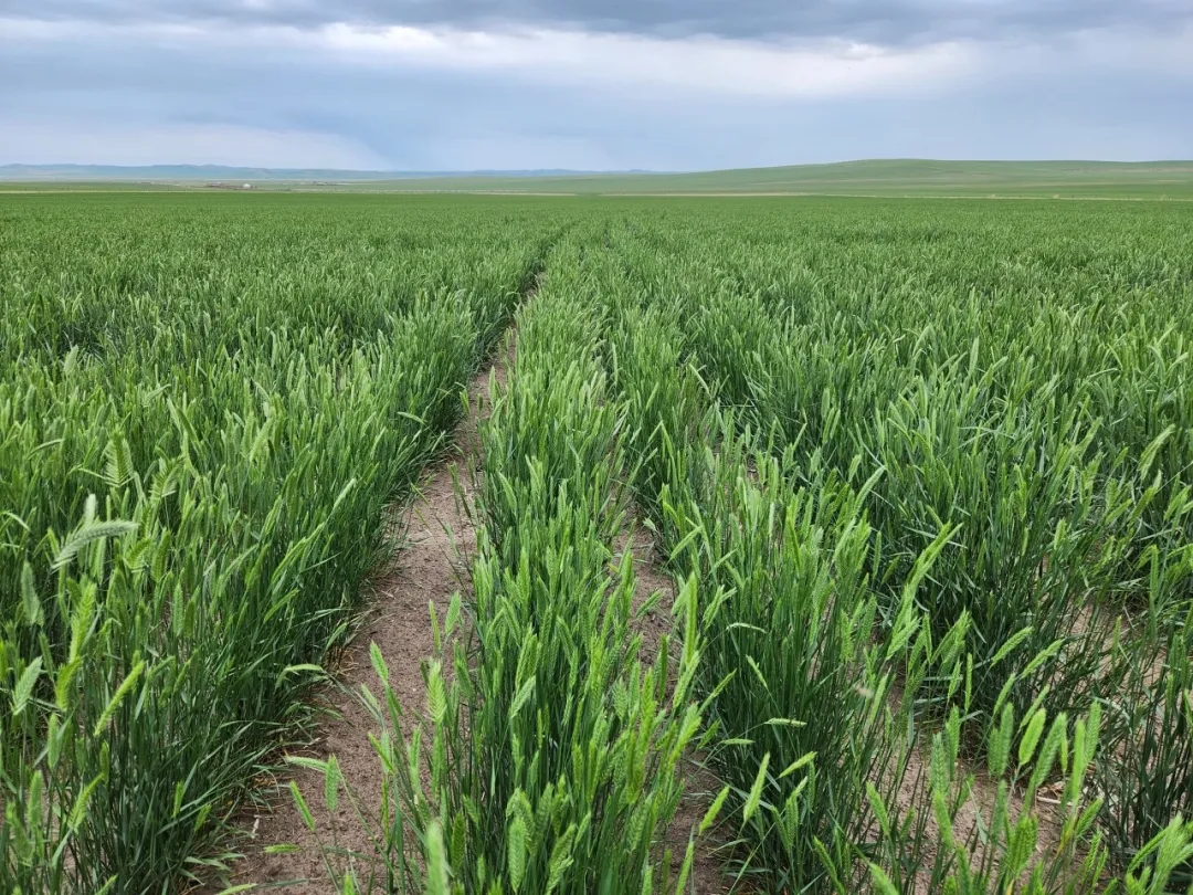 20250908/13232fa53ed717b4785d74077e844e16.jpg 20250908/13232fa53ed717b4785d74077e844e16.jpg