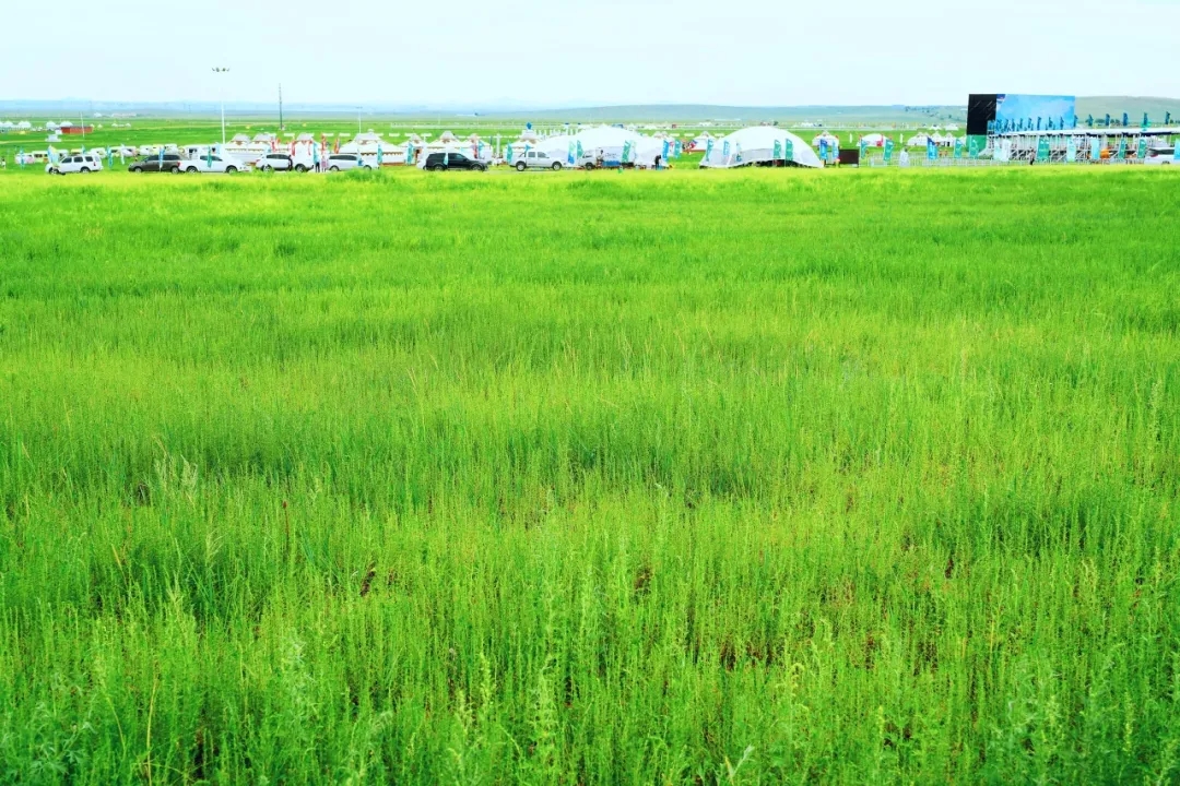 20250908/bf10a64ef1b785cd342adc3b13df2454.jpg 20250908/bf10a64ef1b785cd342adc3b13df2454.jpg