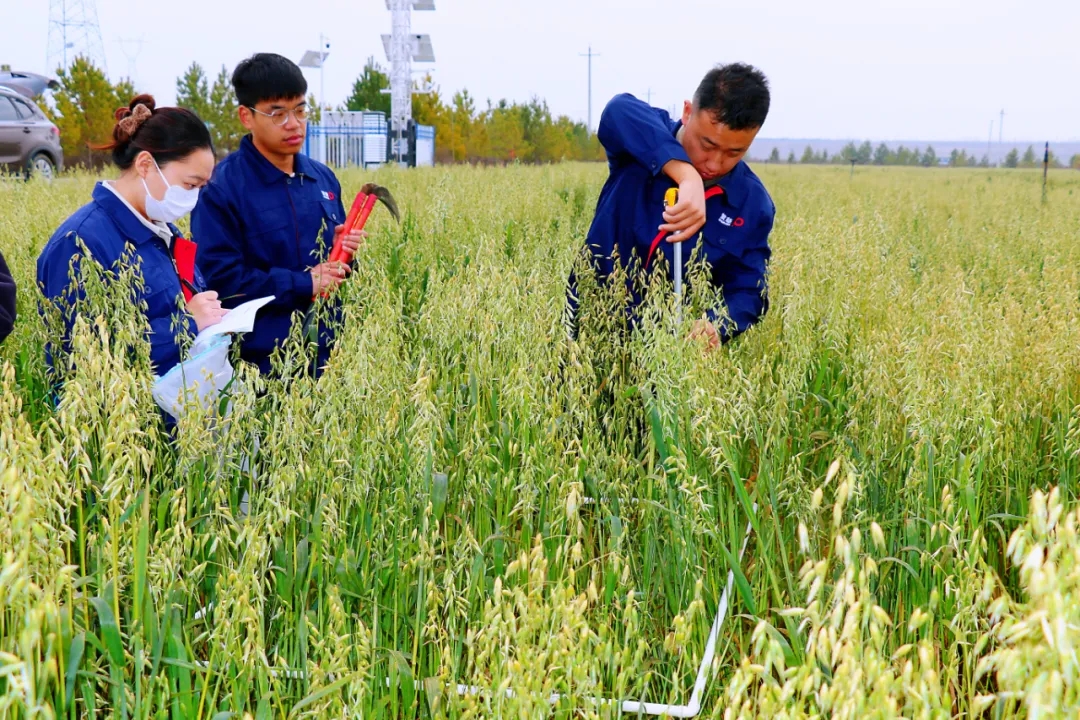 20251119/ee17c807c33fda1c74db8a9b4ecb06fb.jpg 20251119/ee17c807c33fda1c74db8a9b4ecb06fb.jpg